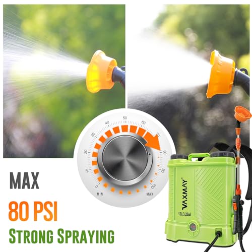 80PSI Electric Garden Backpack Sprayer with Telescopic Wand & 5 Nozzles